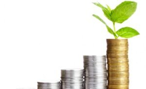 Las inversiones del #vino que brillaron en 2015