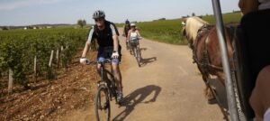 Borgoña te invita a explorar sus «climats»