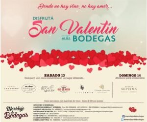 Vino y romance, una dupla de película