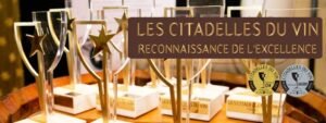 Cuáles fueron los  vinos premiados en Citadelles du Vin en Hong Kong?