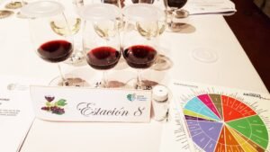 Guía para reconocer los defectos aromáticos más comunes en vinos