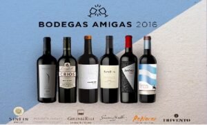 Elevá tu copa con #Bodegasamigas