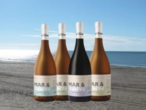 Buscan desarrollar más el consumo de vinos en MDQ