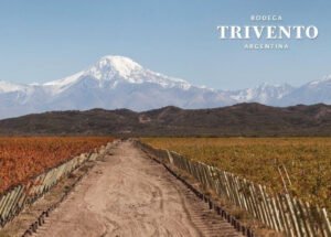 Trivento obtuvo la máxima calificación de la norma de calidad BRC