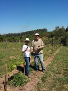 Gabriela Celeste evaluó las chances de elaborar buen vino en Paraguay