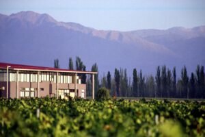 Bodegas cierran áreas de turismo por el COVID-19