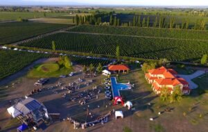 Vino y Jazz en Valle de Uco, una combinación exitosa