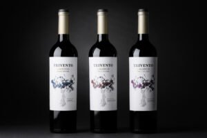 Gaudeo, nueva línea Single Vineyard de Bodega Trivento, interpreta los microterroirs de Valle de Uco