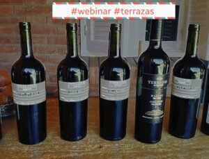 Terrazas de los Andes piloteó con pericia la desafiante cosecha 2020 y sus Malbec prometen