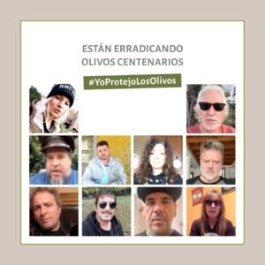 #YoProtejoLosOlivos: la campaña de Laur alerta sobre la tala indiscriminada