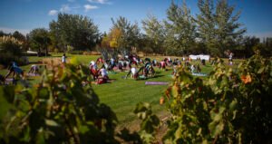 21/6 Yoga por los Caminos del Vino celebra el Día internacional del yoga