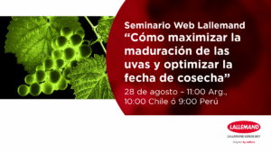 Seminario Web 28/8 Lallemand Sudamérica: «Cómo maximizar la maduración de las uvas y optimizar la fecha de cosecha»