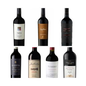 Cabernet Sauvignon: siete ejemplares recomendados para brindar por su día