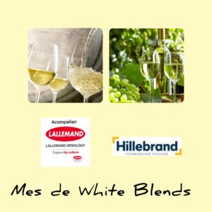 Próximos #hablemosde white blends: Sofía Pescarmona y Mariano Di Paola