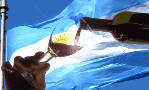 Por el incremento en las exportaciones, Argentina pasa al puesto número 8 a nivel mundial
