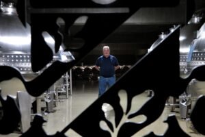 Rutini invierte usd 500 mil en una nave para sus vinos tope de gama