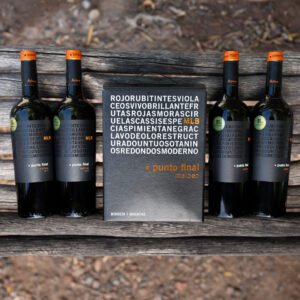Ahora Punto Final Malbec se disfruta en bag in box