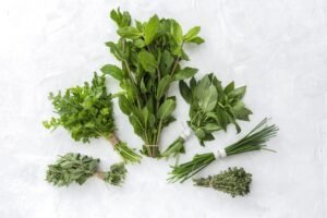 Usar productos eco-friendly, una tendencia que crece en la gastronomía mendocina