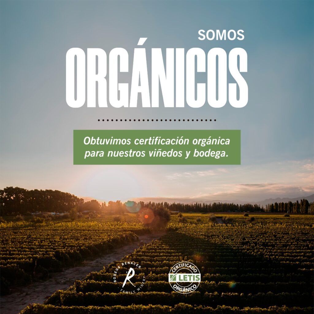 «La cosecha orgánica rindió más que la de años anteriores»