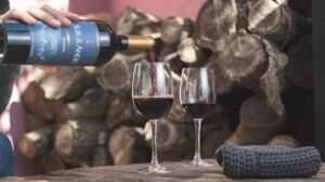 Sur de los Andes invertirá $200 millones para construir una nueva bodega en Mendoza