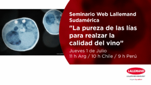 Seminario Web Lallemand Sudamérica «La pureza de las lías para realzar la calidad del vino”