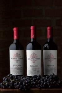 Achaval Ferrer se prepara para tener un exclusivo Club de Vinos