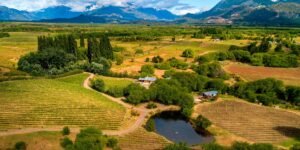 Pasión, aventura y crecimiento marcan la actualidad de Patagonia vitivinícola