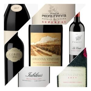 ¿Sabés cuáles son los vinos más caros de Argentina?
