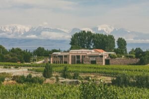 Bianchi ofrece múltiples opciones para conocer Mendoza y sus vinos