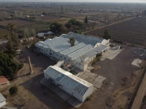 Clément compra una bodega de 10 millones de litros en Junín