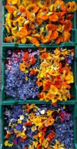 Cocinar con flores sí, pero ¿cuáles son aptas para la gastronomía?