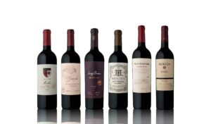 El revival de la D.O.C Luján de Cuyo: siete bodegas y nuevos proyectos