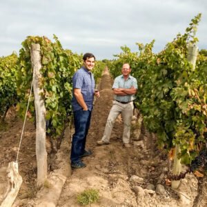 ¿Cómo fue la añada 2021 para los blancos según Bodegas López?