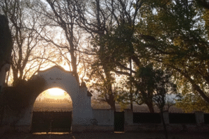 23/10 Sunset solidario en Casa Guevara Bistró