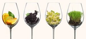 Nota técnica: Cómo lograr los mejores aromas en el Sauvignon Blanc