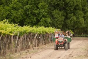 Finca La Anita se encamina hacia lo orgánico y sustentable