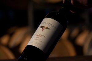 Gran Reserva Malbec 2017 de Corazón del Sol ocupa el mejor puesto de vinos argentinos en el Top 100 Wine Enthusiast