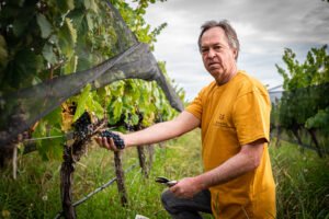 Andrej Razumovsky de Alpamanta:  «Es un regalo de la vida poder hacer un vino propio»