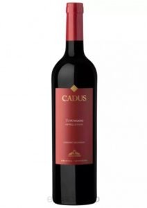 Cadus Tupungato Appellation Cabernet Sauvignon 2018, el recomendado de la semana