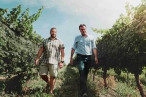 Bira Wines proyecta tener un crecimiento del 30% este año