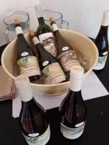 El INV concretó el operativo “1 millón de botellas” para Pymes y elaboradores de vinos casero y artesanal