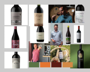 Reporte: 10 Malbec orgánicos que rompen mitos