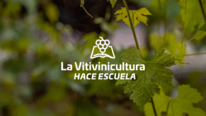 Capacitación sobre vitivinicultura destinada a docentes