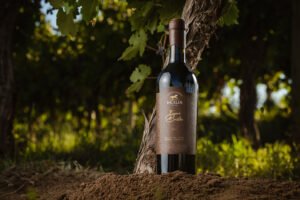 Tres vinos de La Celia exploran terruños y se posicionan entre los más caros de Argentina
