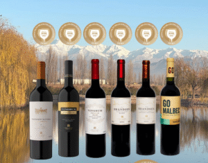 Bodega Vinorum obtuvo 6 medallas de oro en Brasil