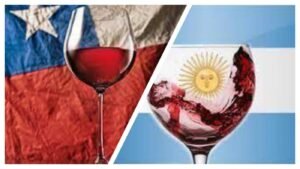 Argentina vs. Chile, resultados del primer semestre de exportaciones