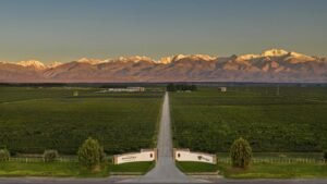 Una bodega argentina, entre las cuatro del mundo con certificación ROC