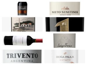 10 Cabernet Sauvignon de menos de $2500 para celebrar su día