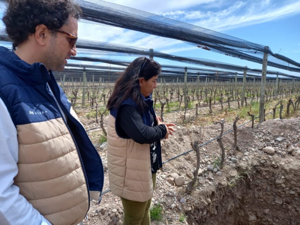 Juan Pablo Murgia, de Bodega Vistalba