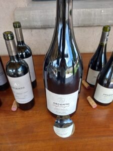 Nuevas cosechas y nuevos vinos: Argento termina el año marcando presencia
